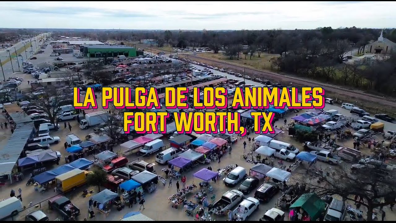 LA PULGA DE LOS ANIMALES, UN LUGAR SURREALISTA EN TEXAS