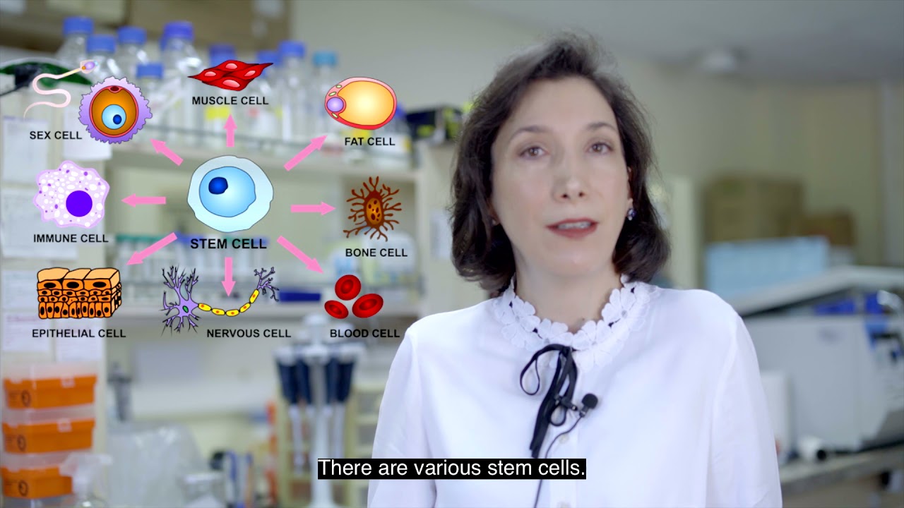 Dr. Nihal Terzi Çizmecioğlu nörogelişimsel hastalıklar için kök hücre tedavisini anlatıyor.
