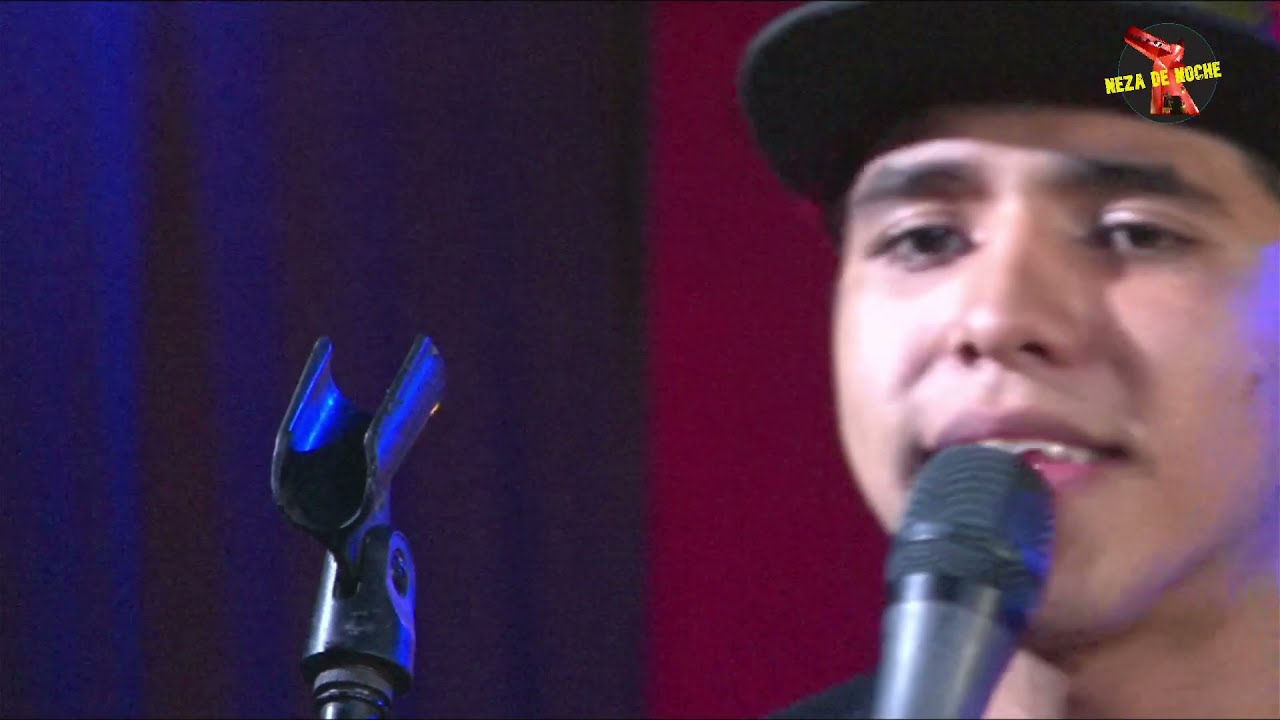 Los Gatos Locos -El Rey De La Cumbia- 🔴 LIVE