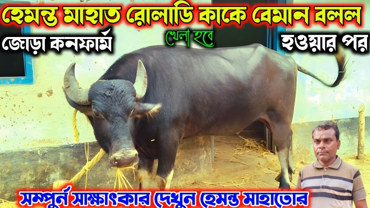 হেমন্ত মাহাত কাকে বেমান বলল। জোড়া কনফার্ম হয়ার পরে। সম্পুর্ন সাক্ষাৎকার দেখুন হাইভোল্টেজ