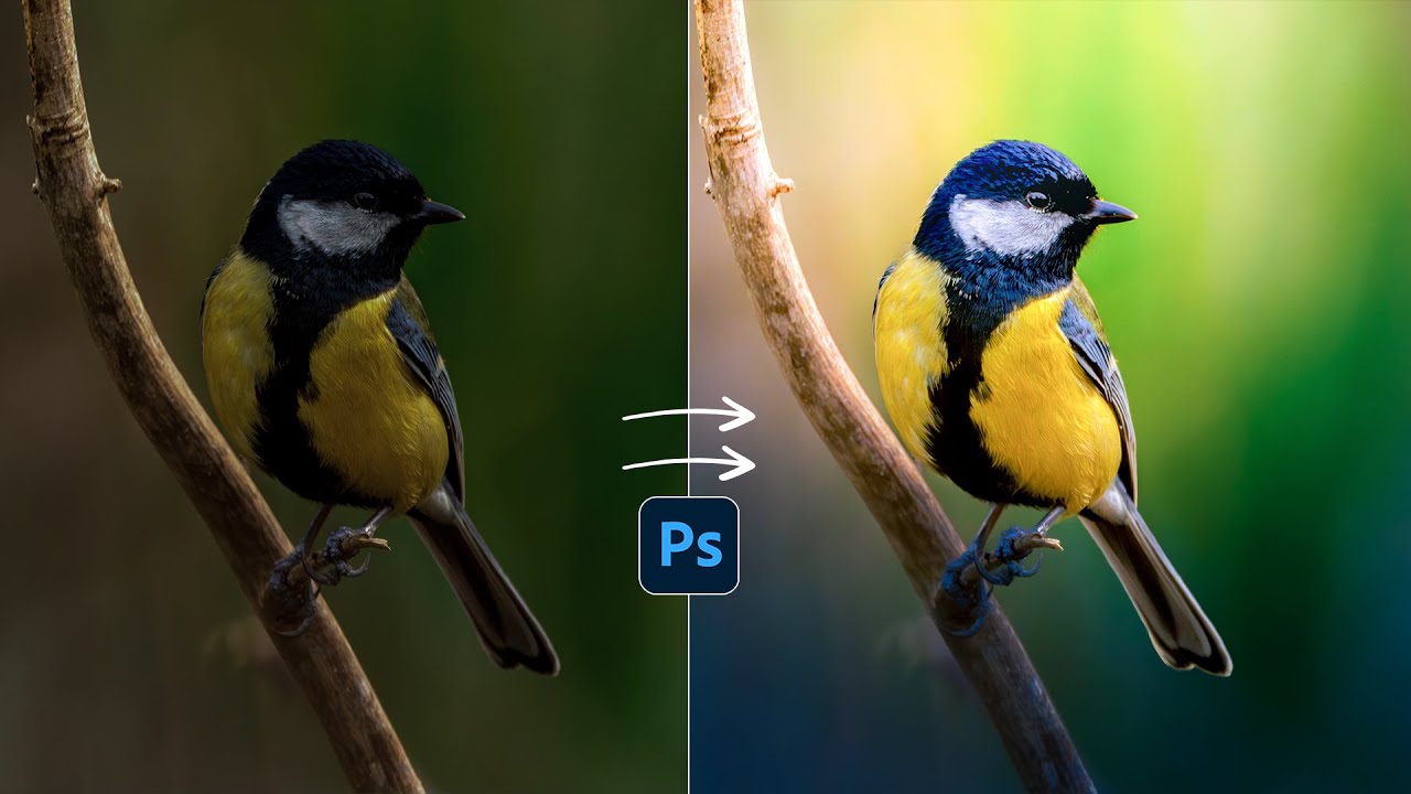Camera Raw Masking - Create  Smoother Background | Photoshop Tutorial | Camera Raw Filter