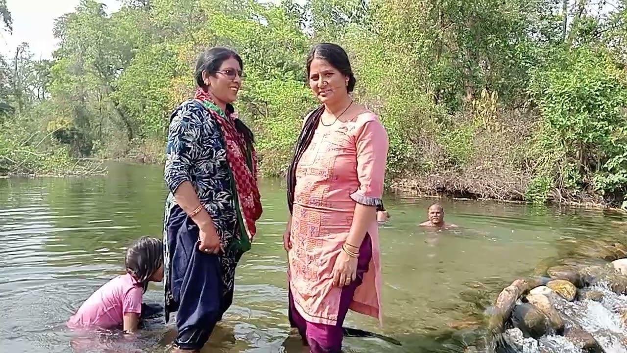 जंगलव्यू