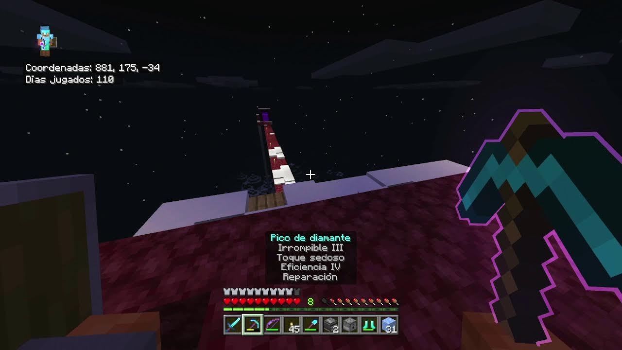MINECRAFT REALMS