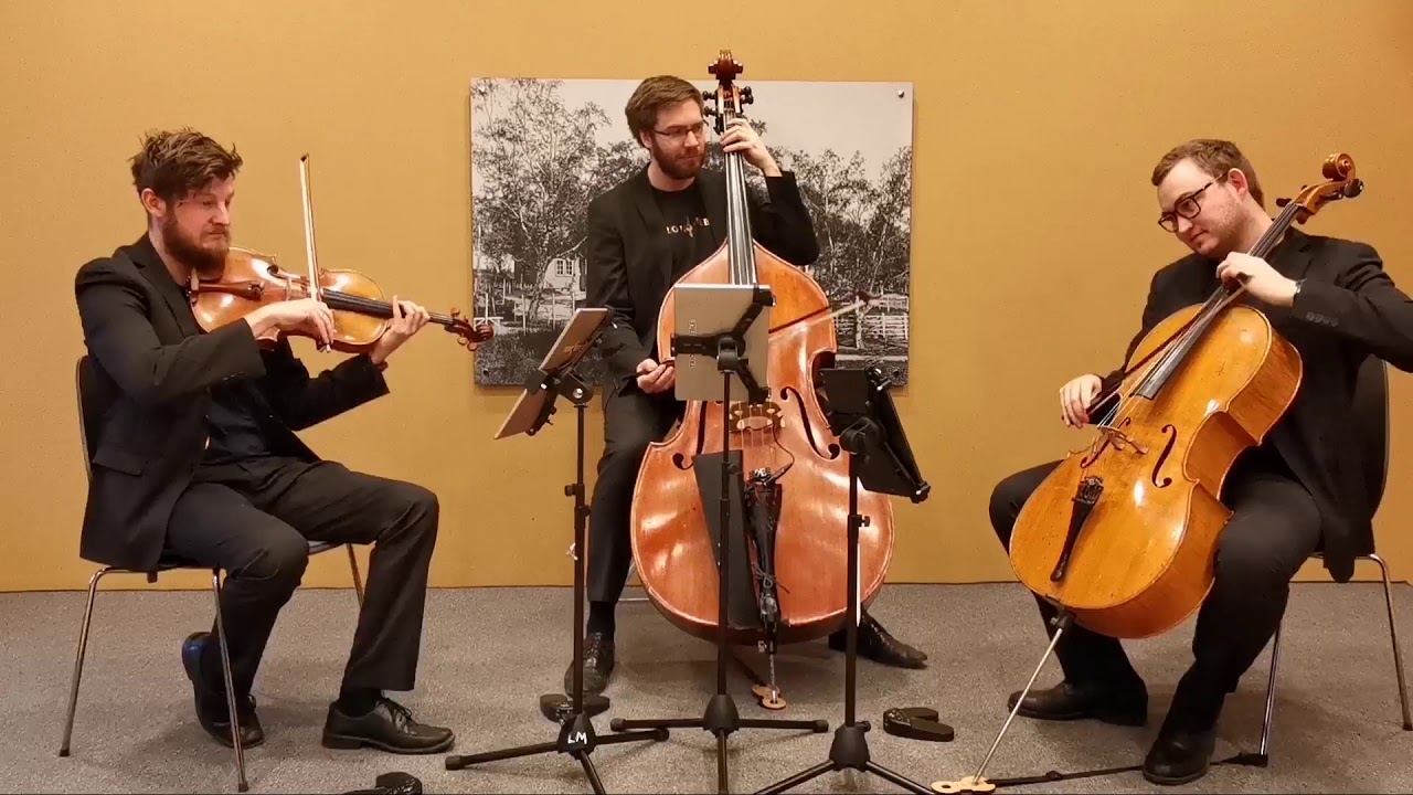 BAD GUY - BILLIE EILISH - STRING COVER (viola, cello and double bass)