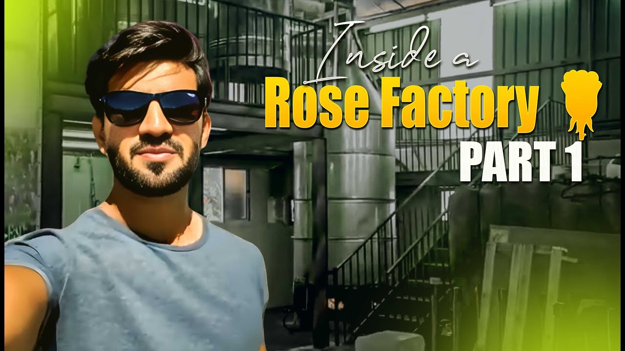 Inside a Rose Factory 🌹 | Part 1