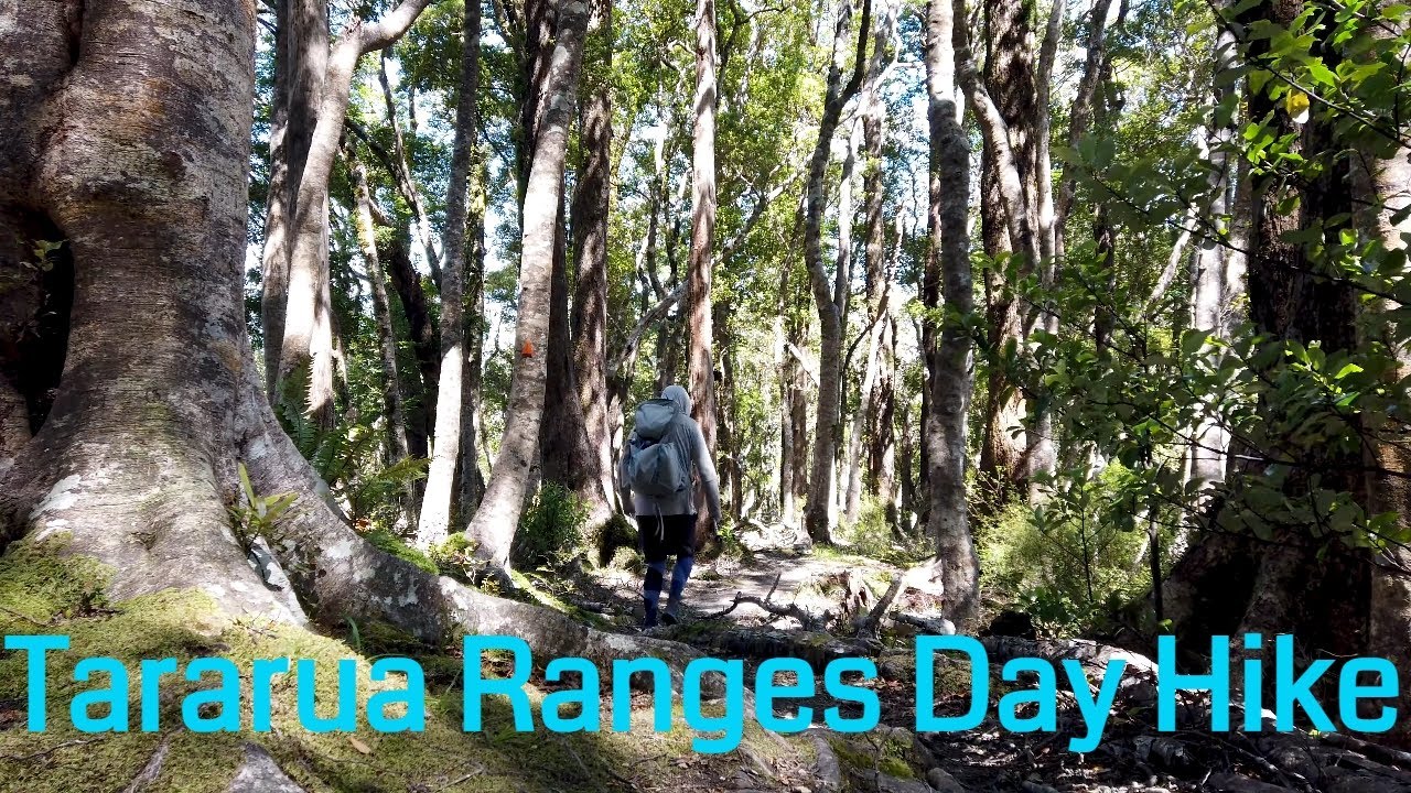 Massive New Zealand Day Hike | Classic Tararua Ranges Tramping