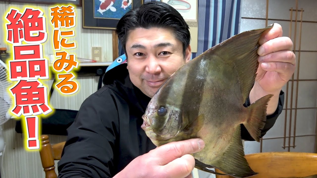 レア魚を５日間熟成させて『あの方たち』に食べてもらいました！！！