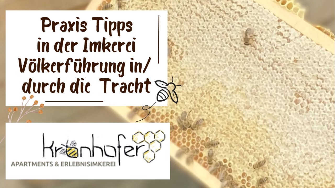 21. Praxis Tipps: Völkerführung in der Tracht bzw. durch die Tracht