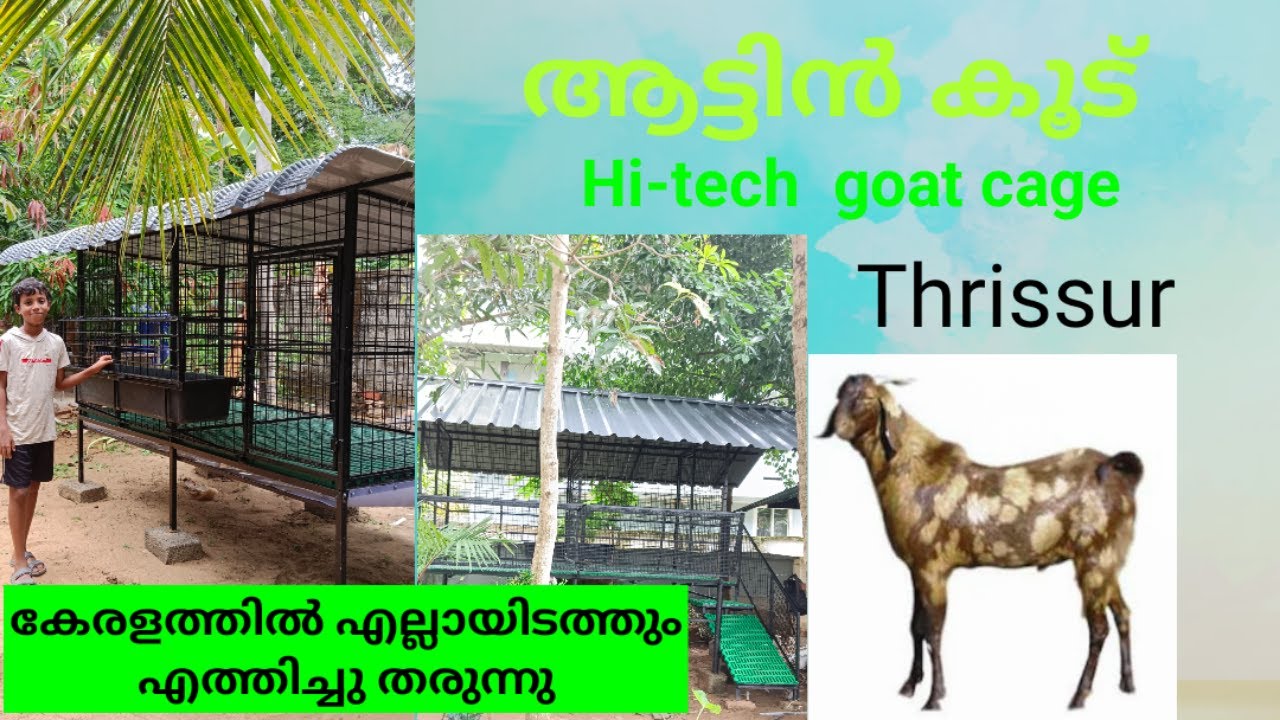 HI-TECH GOAT CAGE MAKING MALAYALAM  | GOAT FARMING | THRISSUR | ALL KERALA  9946206663