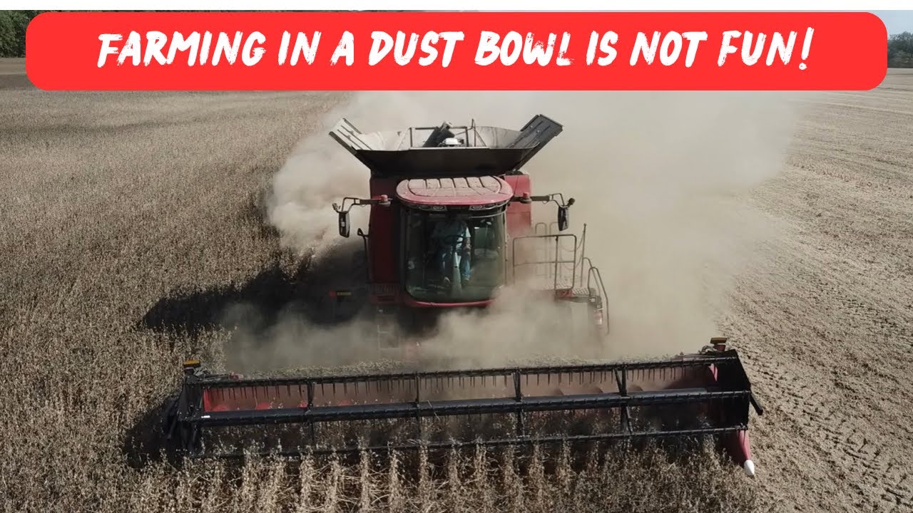 IS THE COMBINE ON FIRE OR IS THAT JUST A WHOLE BUNCH OF SOYBEAN DUST?