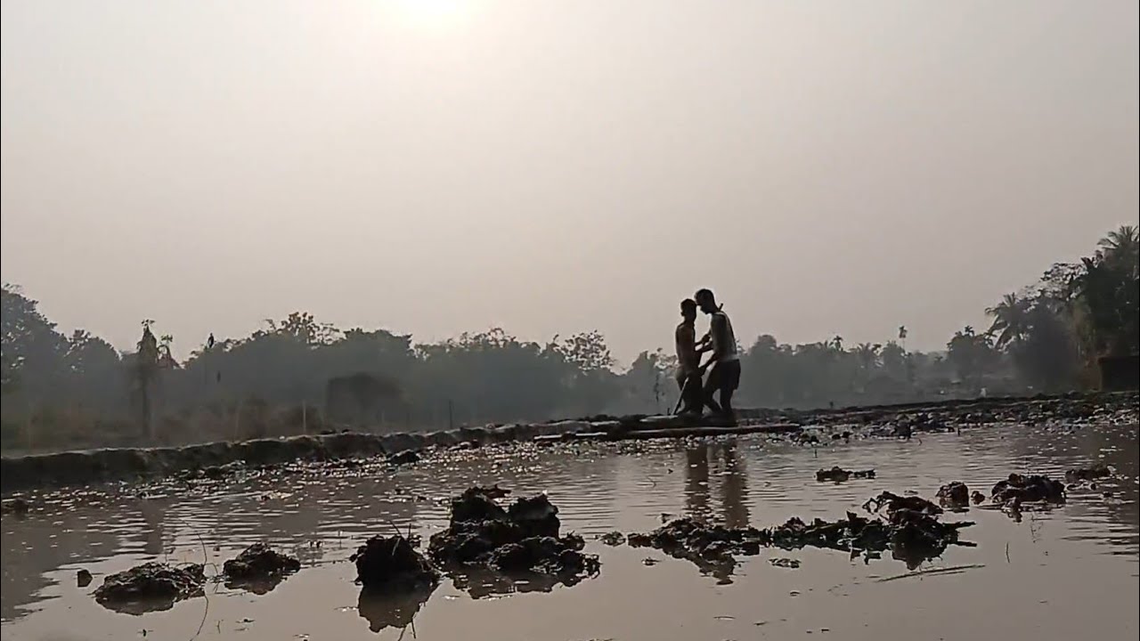 Boro Paddy Farming || বৰু খেতি 