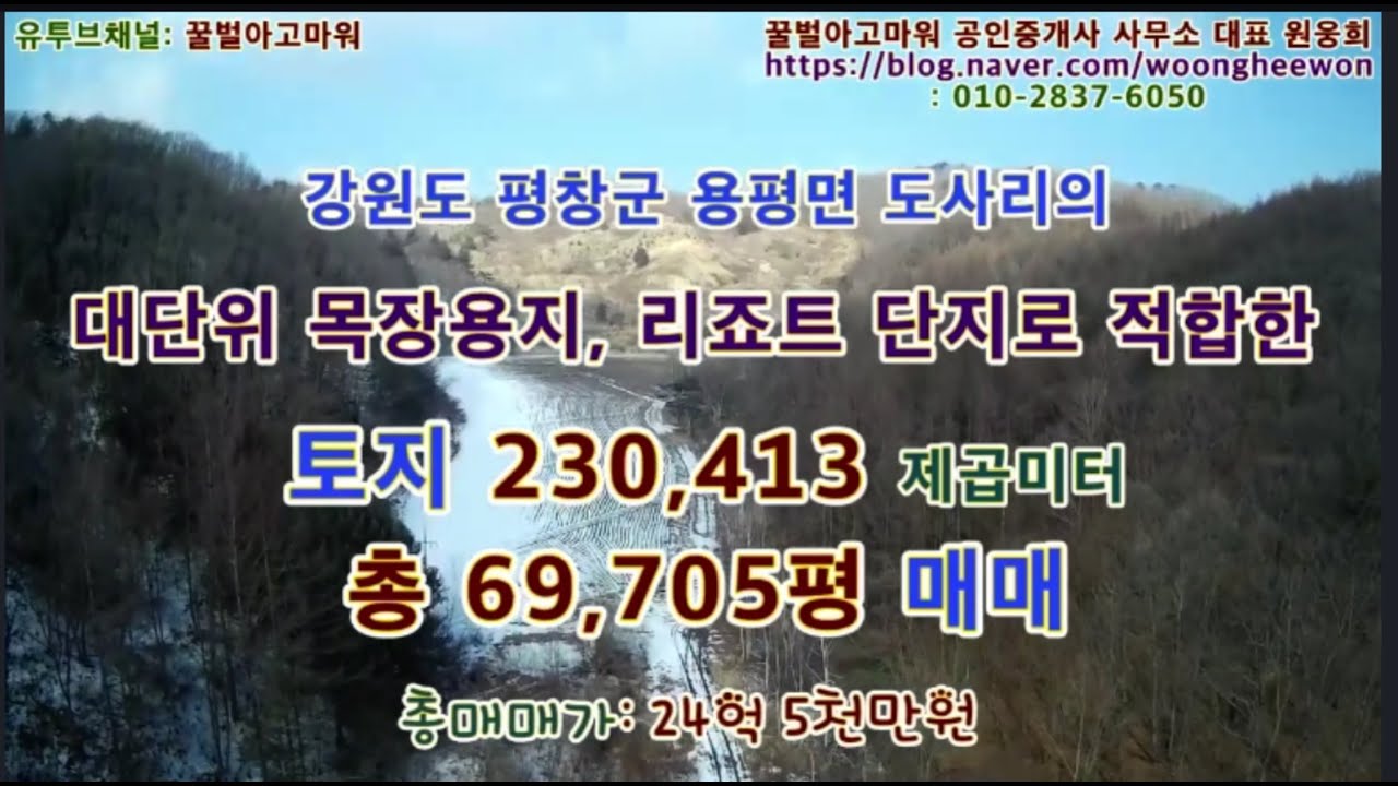 평창군 도사리의 대단위 목장용지, 리죠트단지로 개발이 가능한 토지 매매(조정가능)(Thanks for Honeybee the real estate Agency in Korea)