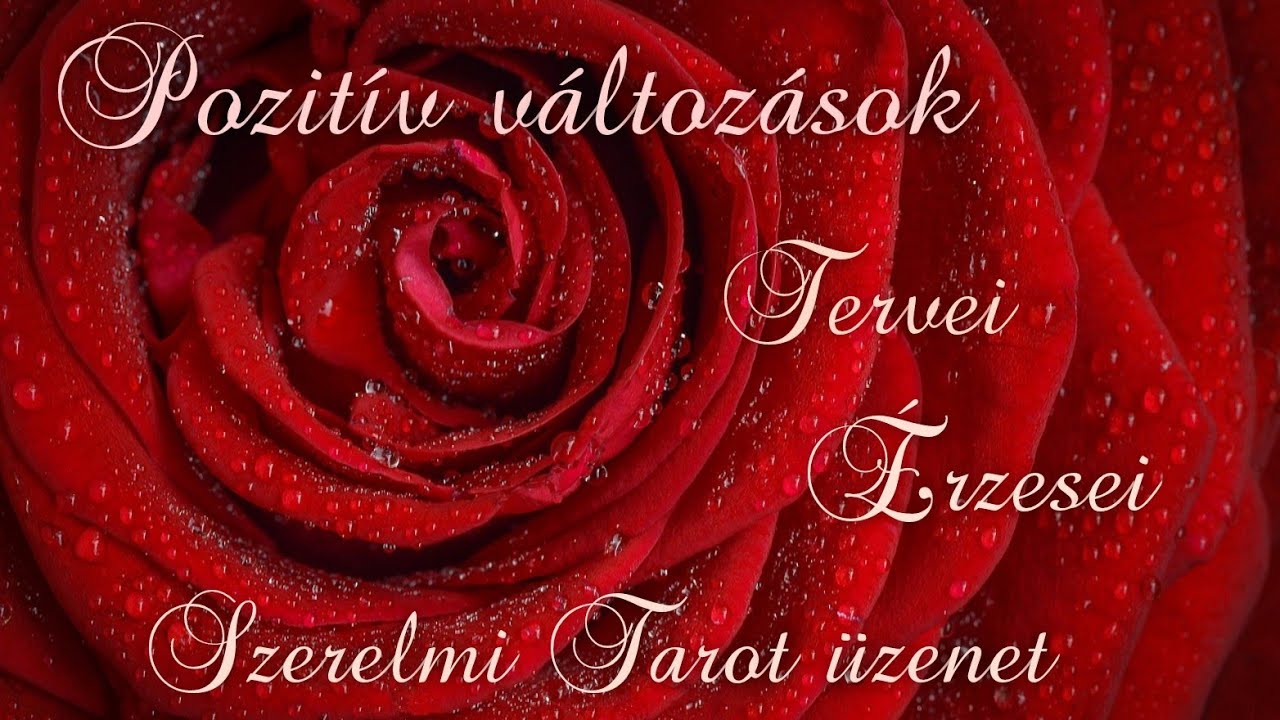 💚🌹Pozitiv változások jöhetnek 🌻 Mit tervez Ő?  ☀️Hogy érez?  💝🌺Szerelmi tarot üzenet 🌻🌹
