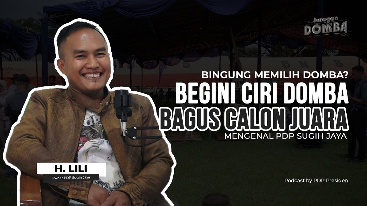KAMU WAJIB TAHU !!! BEGINI CIRI DOMBA BAGUS CALON JUARA