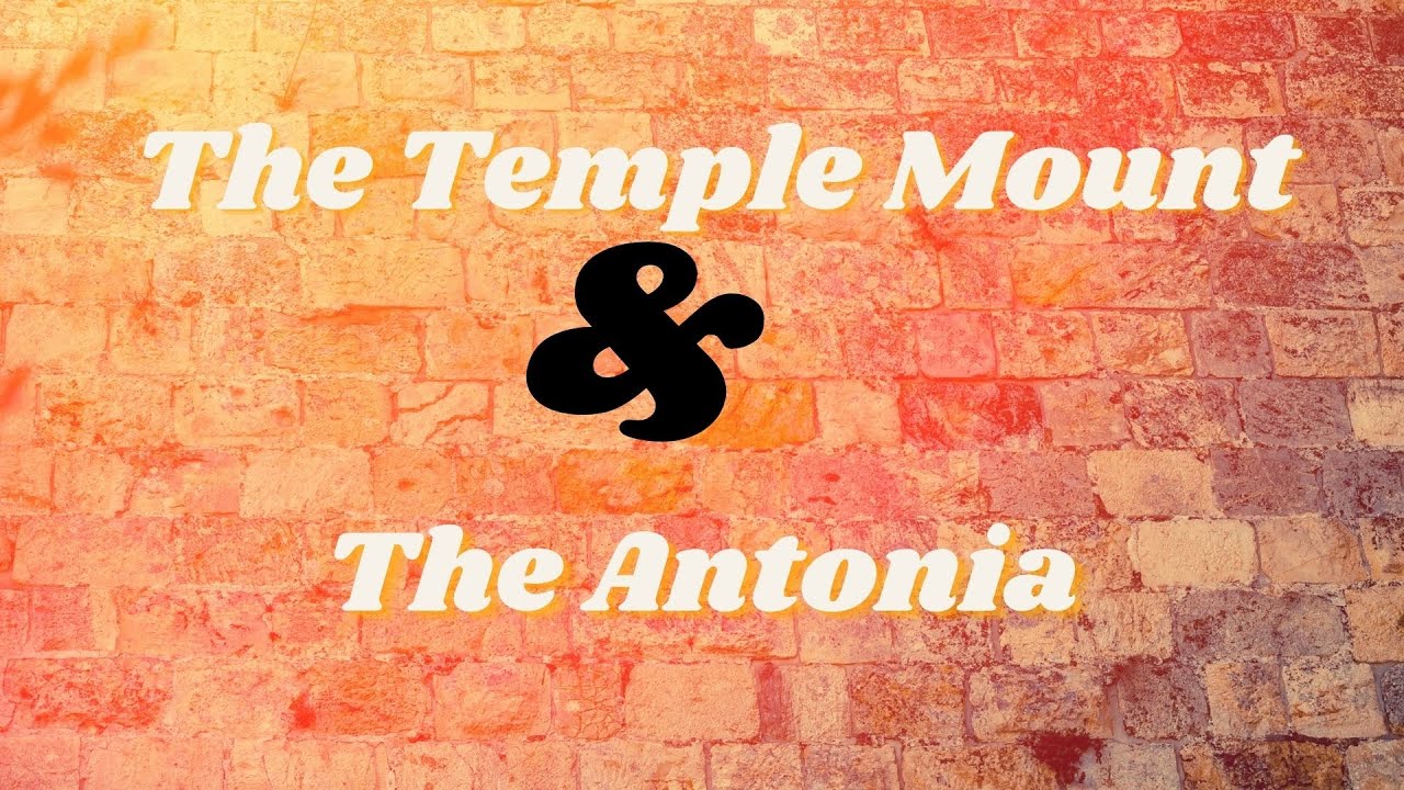 The Temple Mount and the Antonia - Rico Cortes