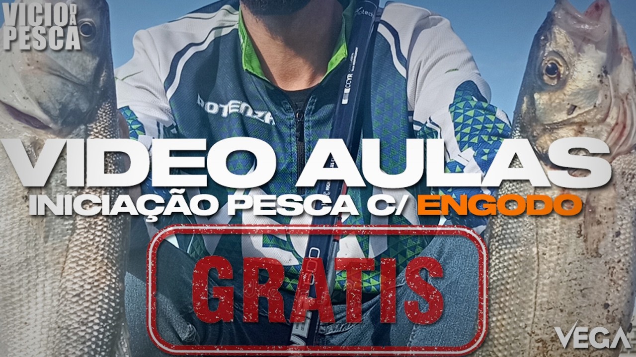🎣 Como Pescar Sargos à Boia com Engodo | Curso Completo (38 Videoaulas)