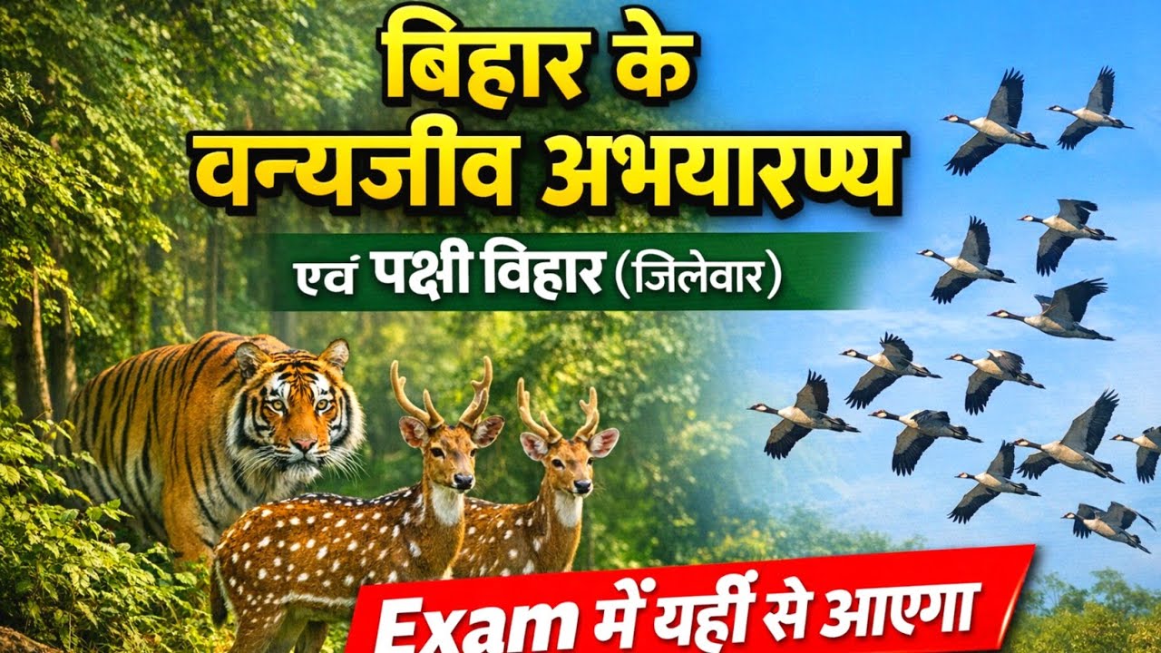 🔴बिहार के वन्यजीव अभयारण्य|Wildlife Sanctuary of Bihar|Bihar ke vanya jeev abhyaran #biharspecialgk 