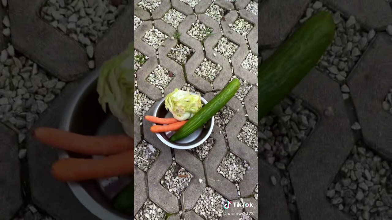 Willst du mich verarschen ???