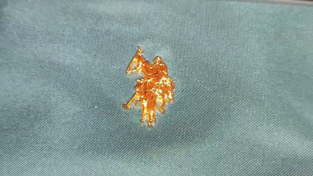U.S.POLO ASSN. SINCE 1890 Tasche 
