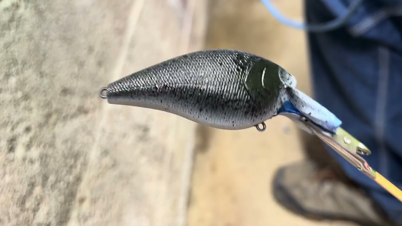 Painting crank baits beginners video #1