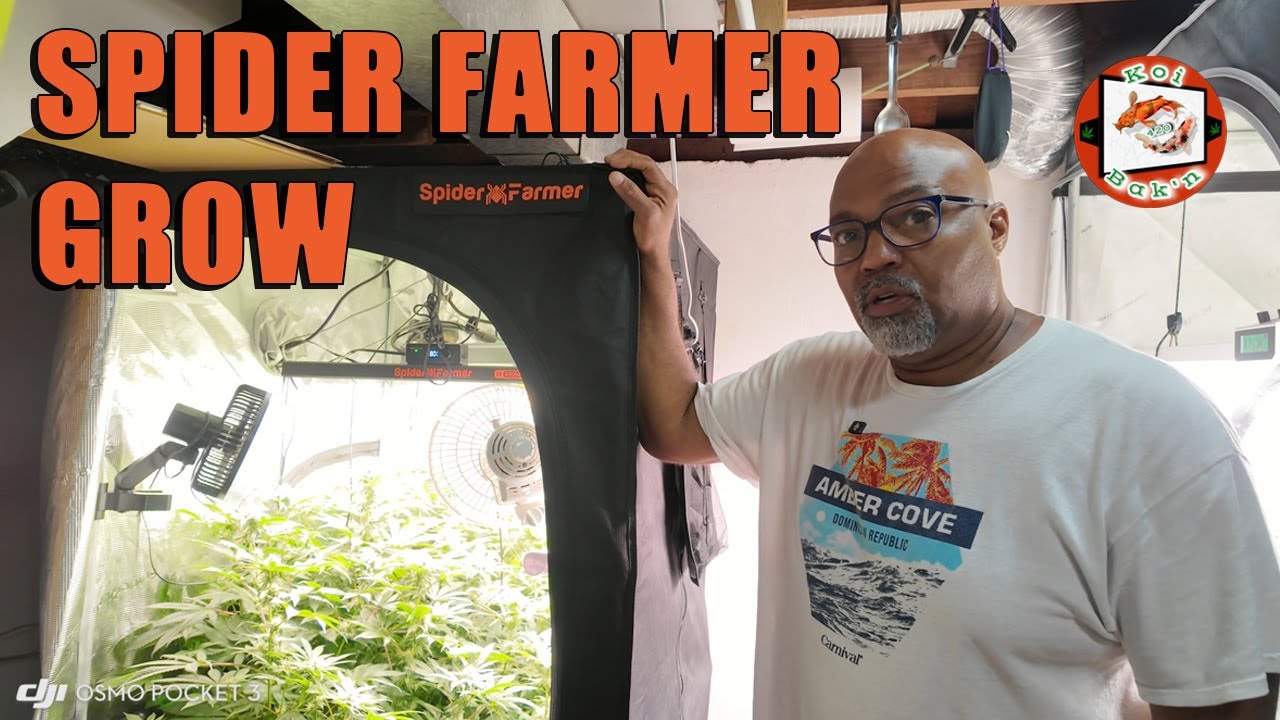 Spider Farmer G3000 Grow Tent Kit | WEEKLY UPDATE