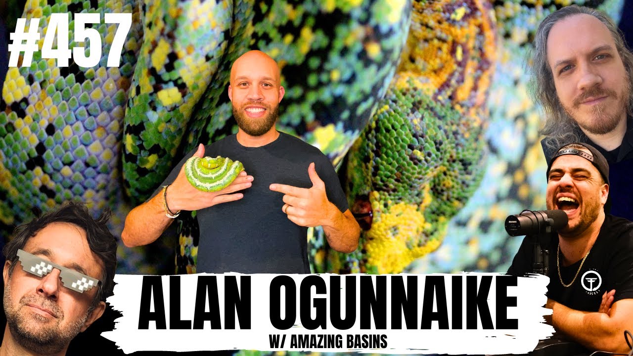 The Up's & Down's When Breeding Amazon Basin Emerald Tree Boas | All In The Tree Tuesday