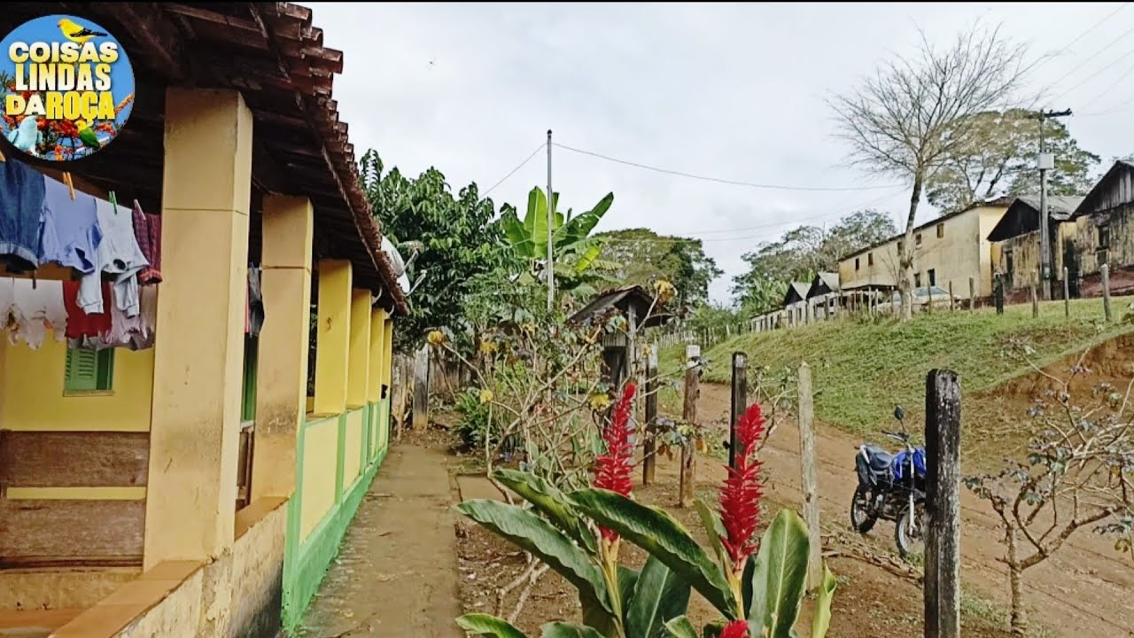 SÍTIO MUITO LINDO NA BAHIA - MUITO VERDE - FRUTAS - UMA BELEZA RADIANTE EM COISAS LINDAS DA ROÇA