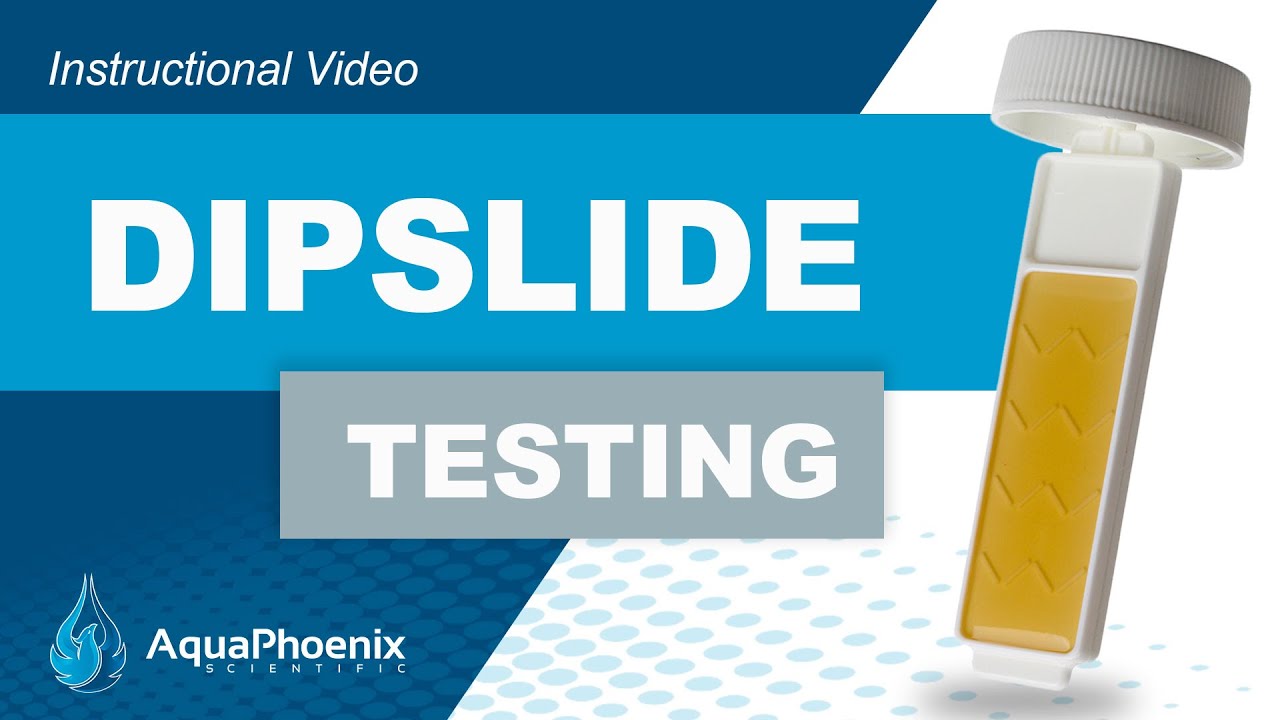 Dipslide Test