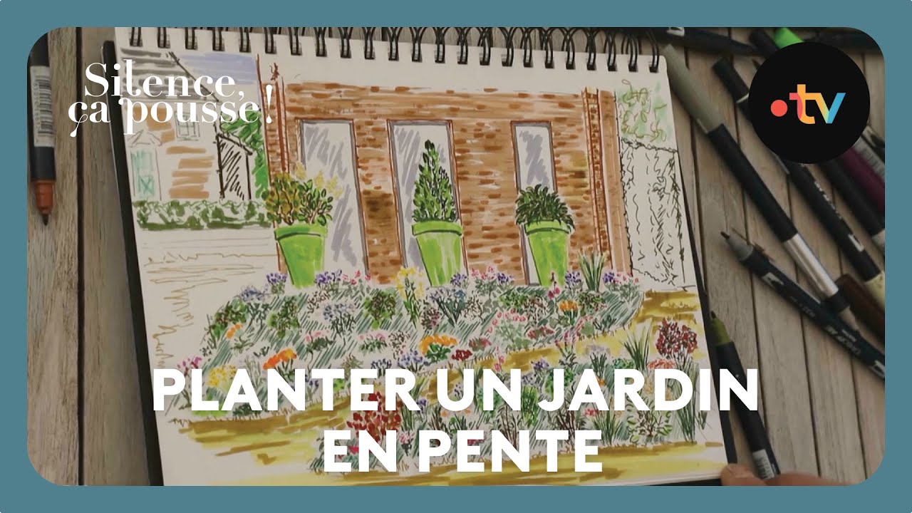 Pas de panique : Planter un jardin en pente - Silence ça pousse !