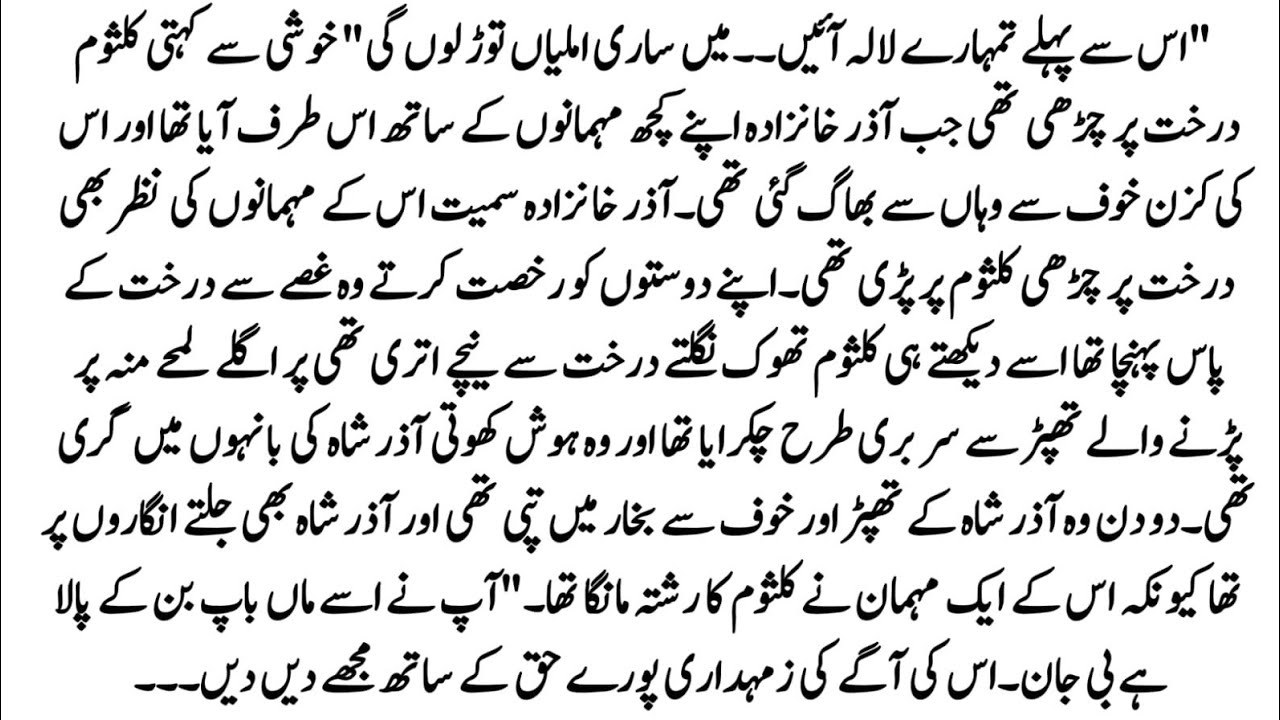 Urdu Novel 