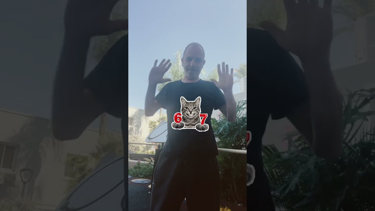   שנה של שיקום ב 5 דקות