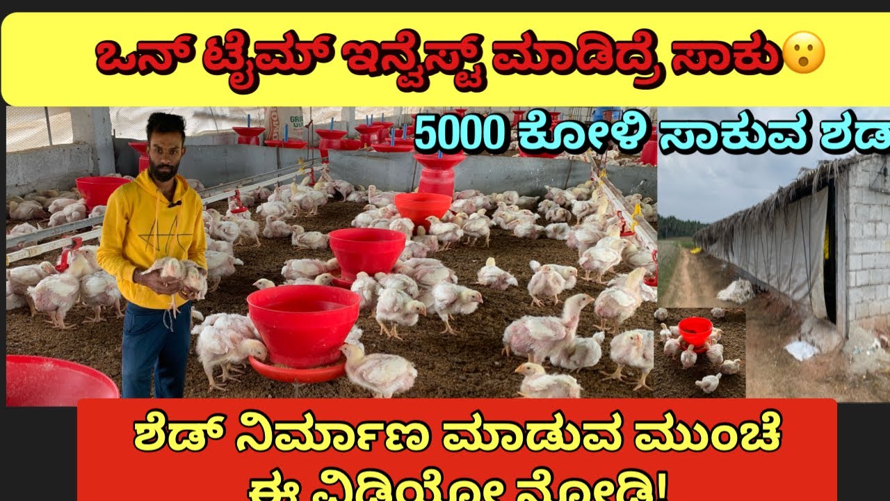 ಬಾಯ್ಲರ ಕೋಳಿ ಫಾರ್ಮ್ ಶೆಡ್ ನಿರ್ಮಾಣ || Poultry farm construction
