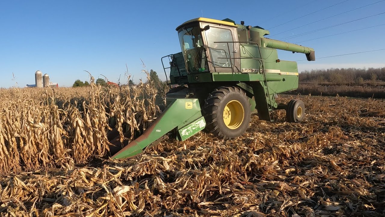 John Deere Turbo 7720 Combining Corn with Four Row Head