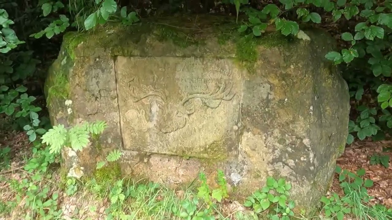 kamienna żółta