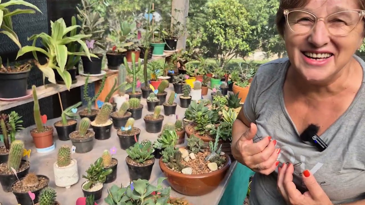 COMO FAÇO OS TERRÁRIOS PARA VENDER