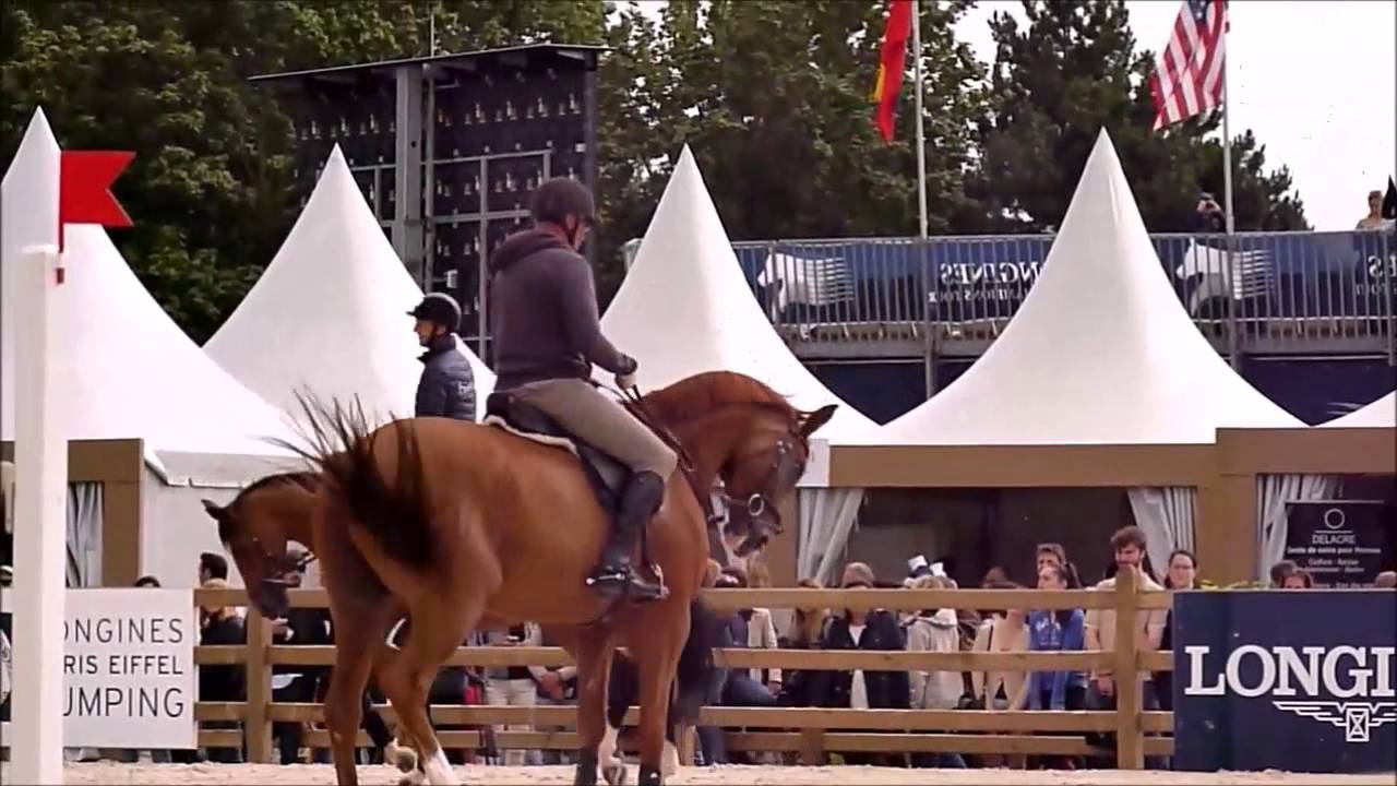 Kevin Staut, For Joy and others, paddock area, Eiffel 2016 (saturday)