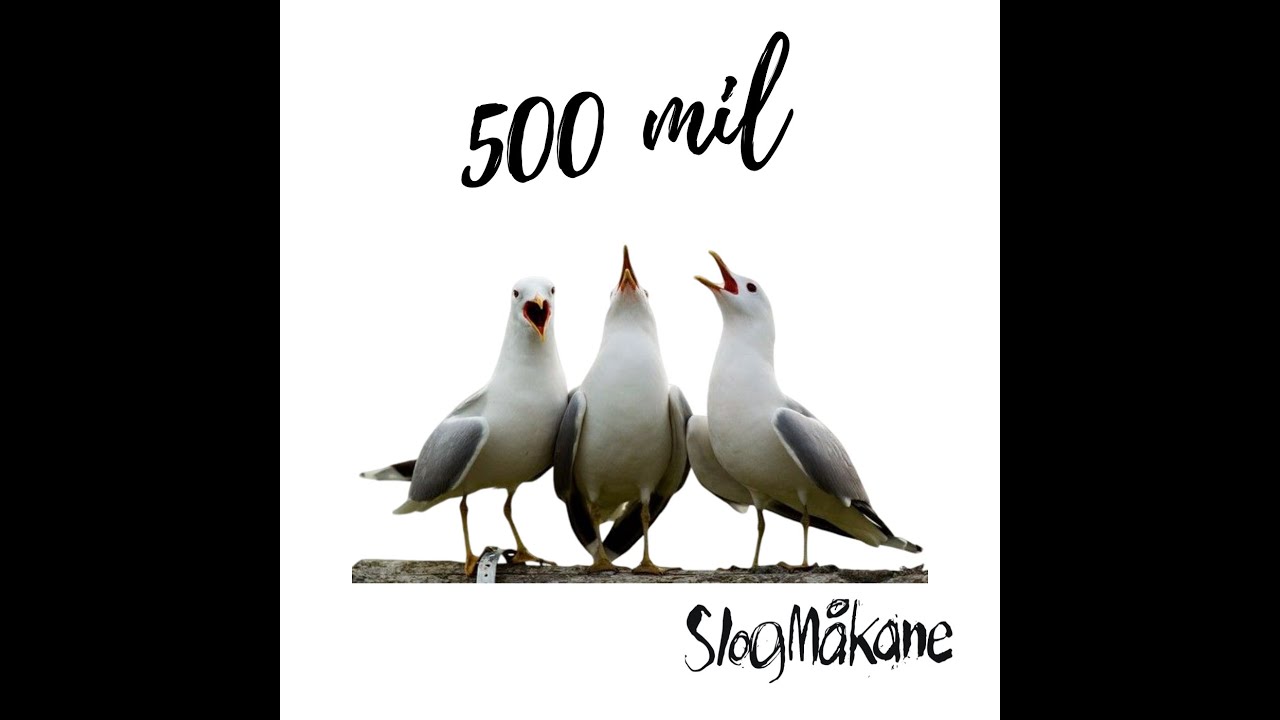Slogm&aring;kane - 500 mil
