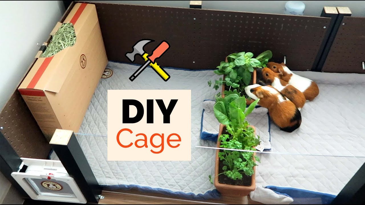 Building a Cage out of IKEA tables | GuineaDad