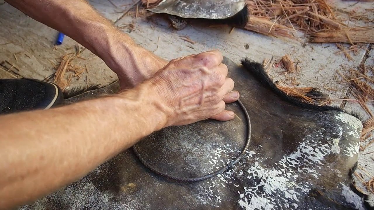 Aulas de Construção de Instrumentos Nº 6- Apocí.