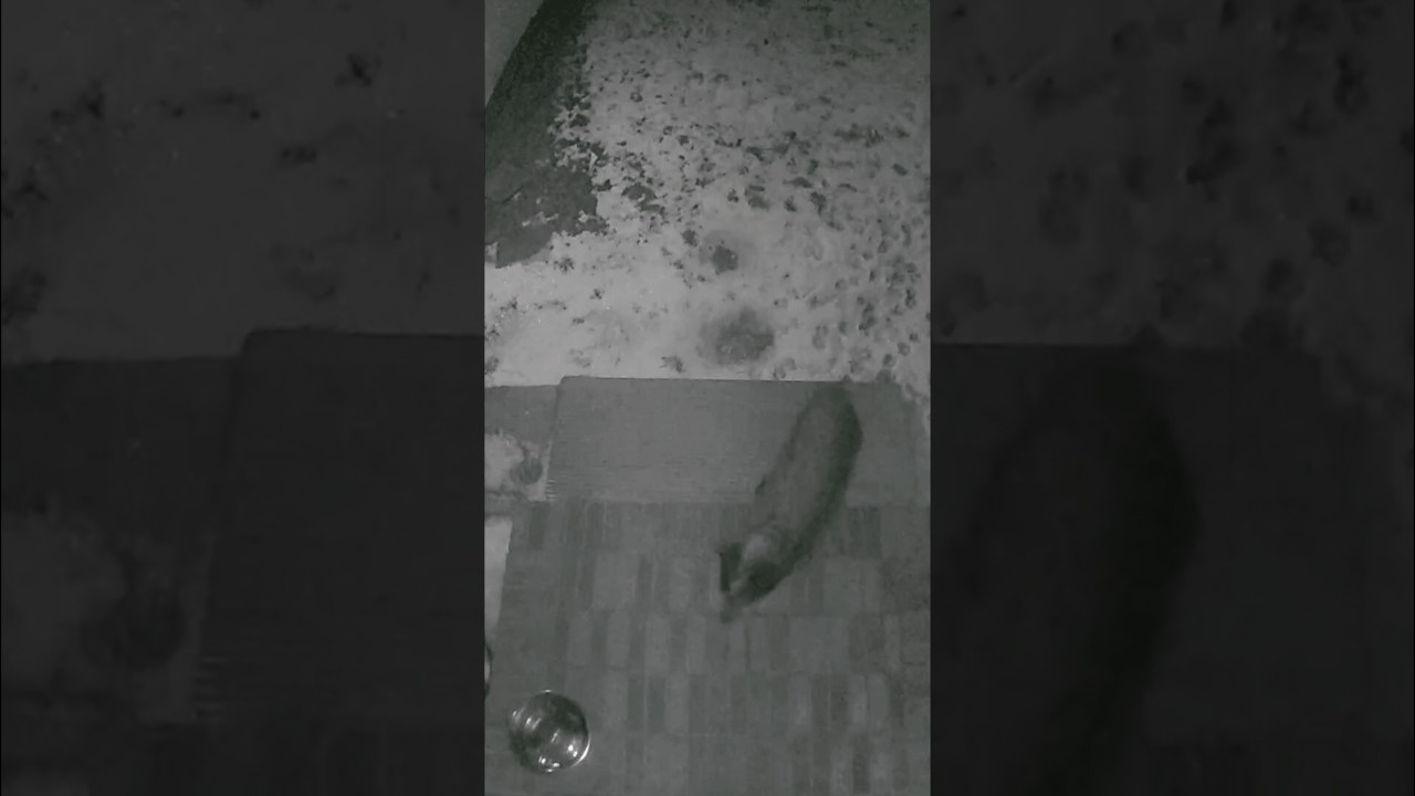 Замерзшая вода. 
