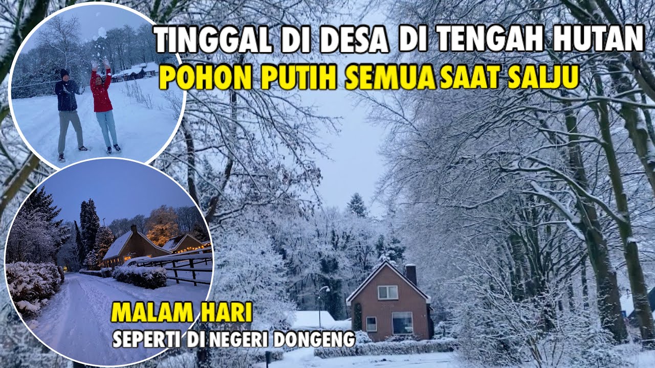 SUASANA SORE DI DESA BELANDA TEMPAT TINGGALKU SAAT MUSIM SALJU | SALJU DI AWAL JANUARI
