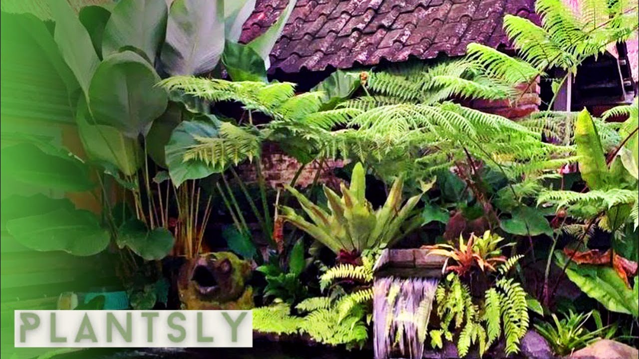 TROPICAL GARDEN WITH BEAUTIFUL PONDS