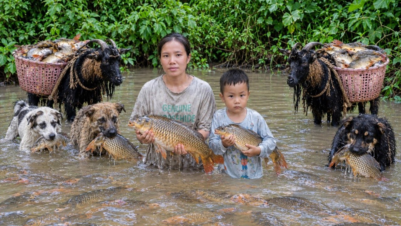 The forest life of poor mother&ndash;Catching fish during a heavy downpour with her companions: dogandgoat