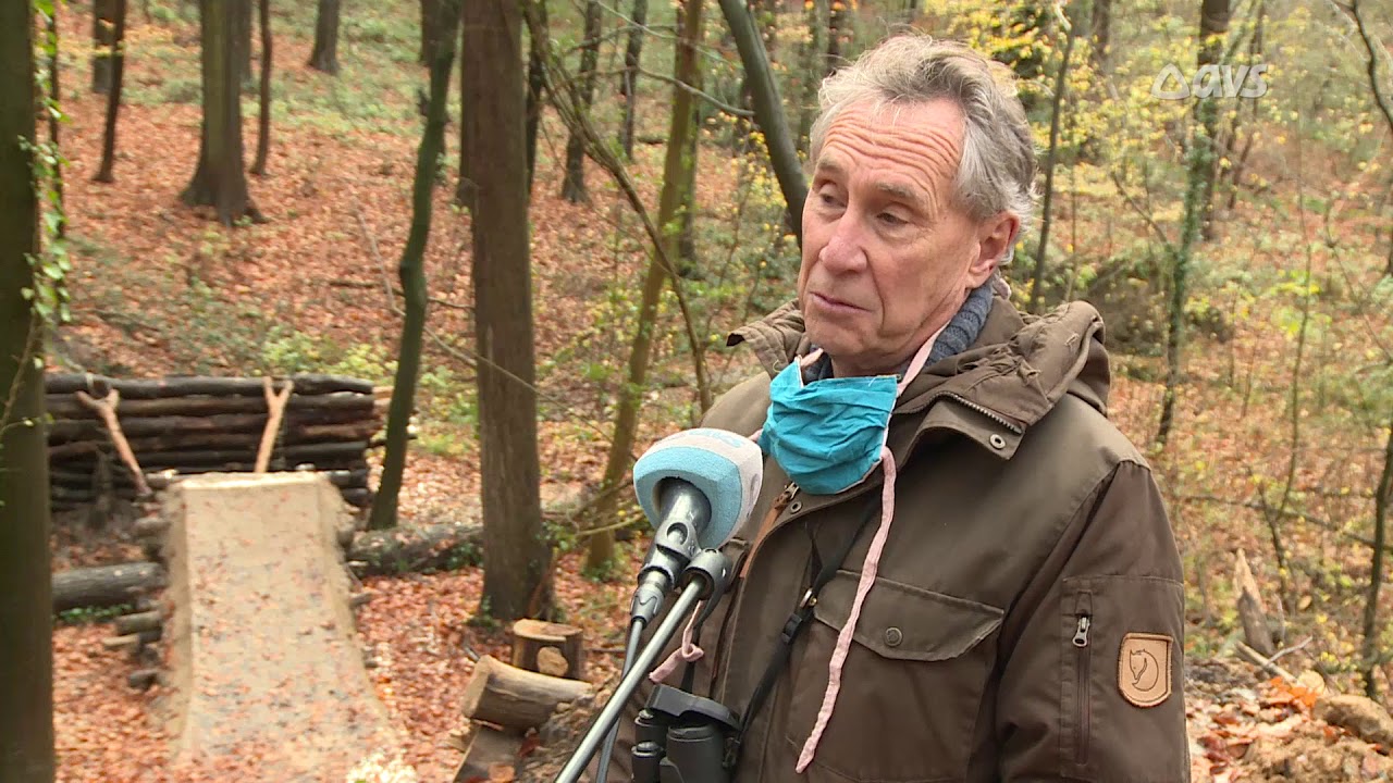 Illegaal mountainbikeparcours Ronse