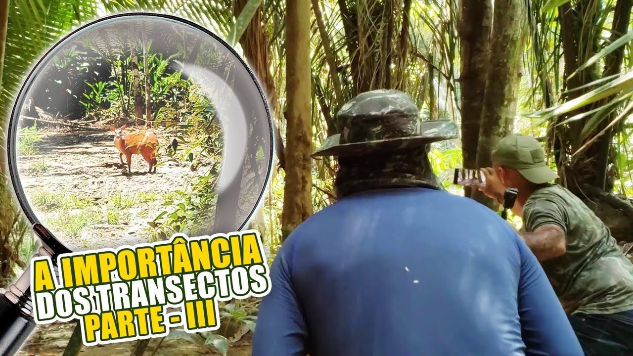 POR QUE AS TRILHAS TRAZEM TANTOS BENEFÍCIOS PARA A NATUREZA?