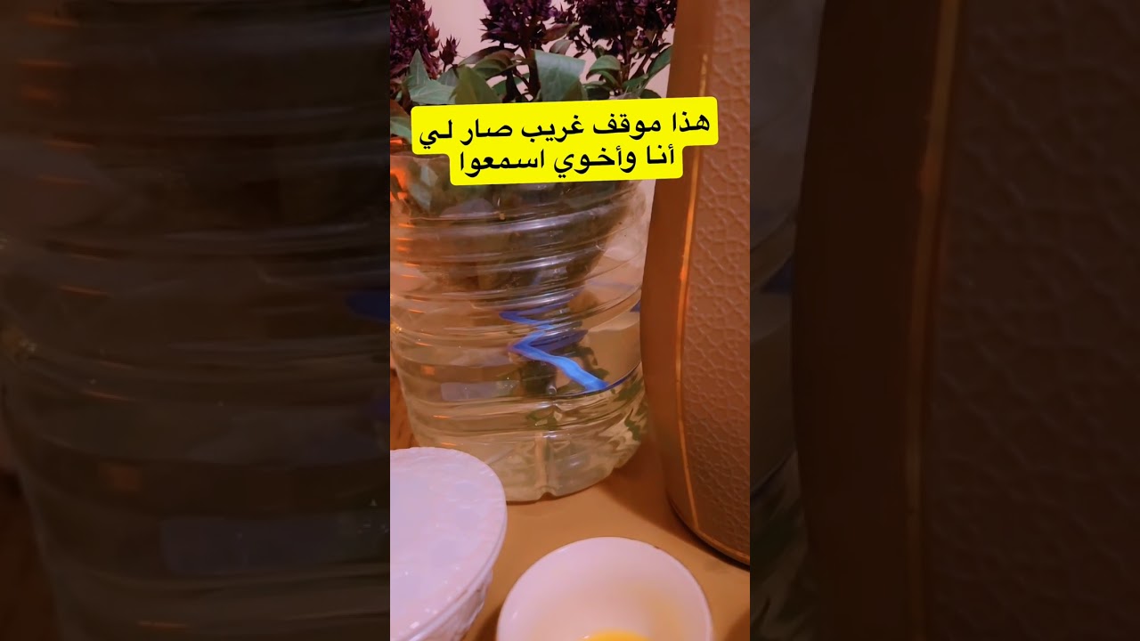 ٢ يناير، ٢٠٢٦