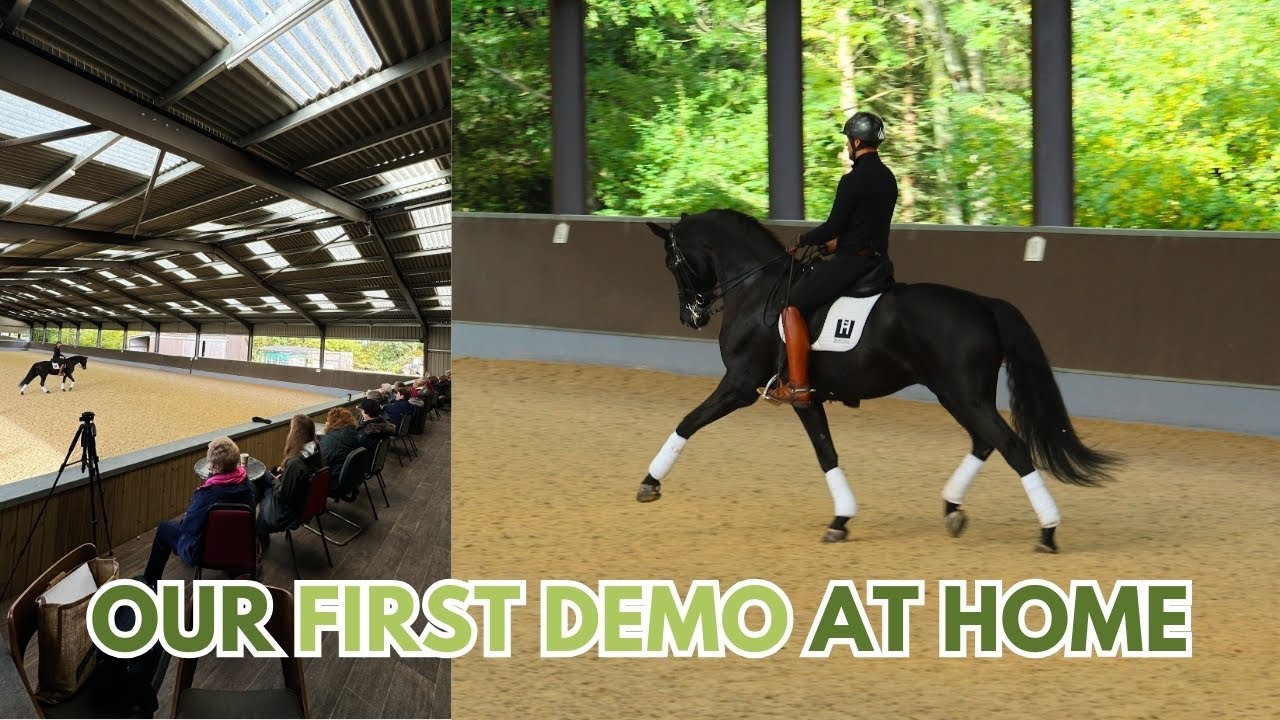 WE DID OUR FIRST DRESSAGE DEMO | Training A Medium Horse