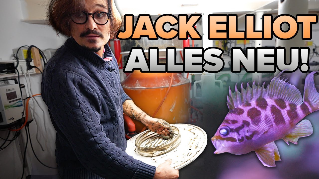 NEUES AQUARIUM von JACK ELLIOT - Gute Idee?