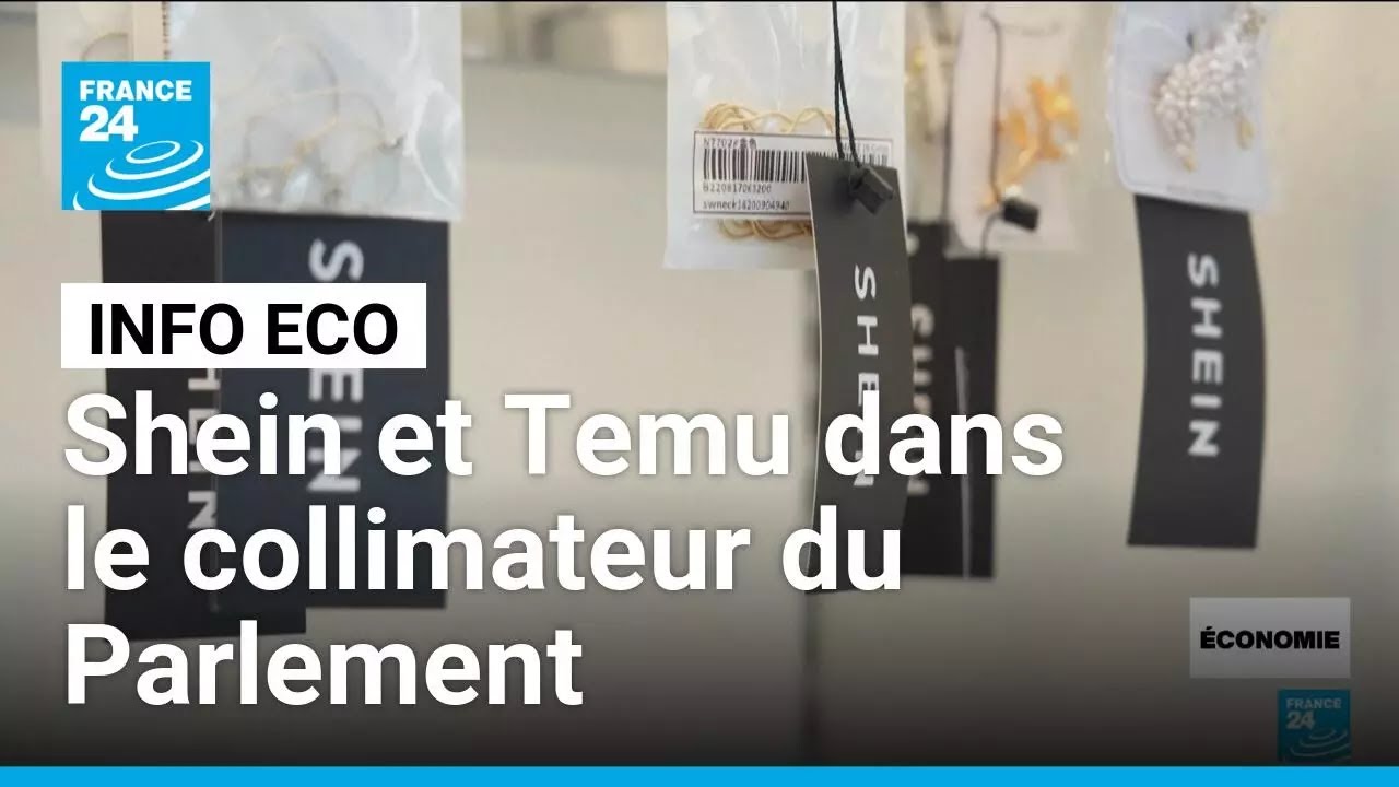 Fast fashion : le Sénat adopte la loi, Shein et Temu dans le collimateur du Parlement • FRANCE 24
