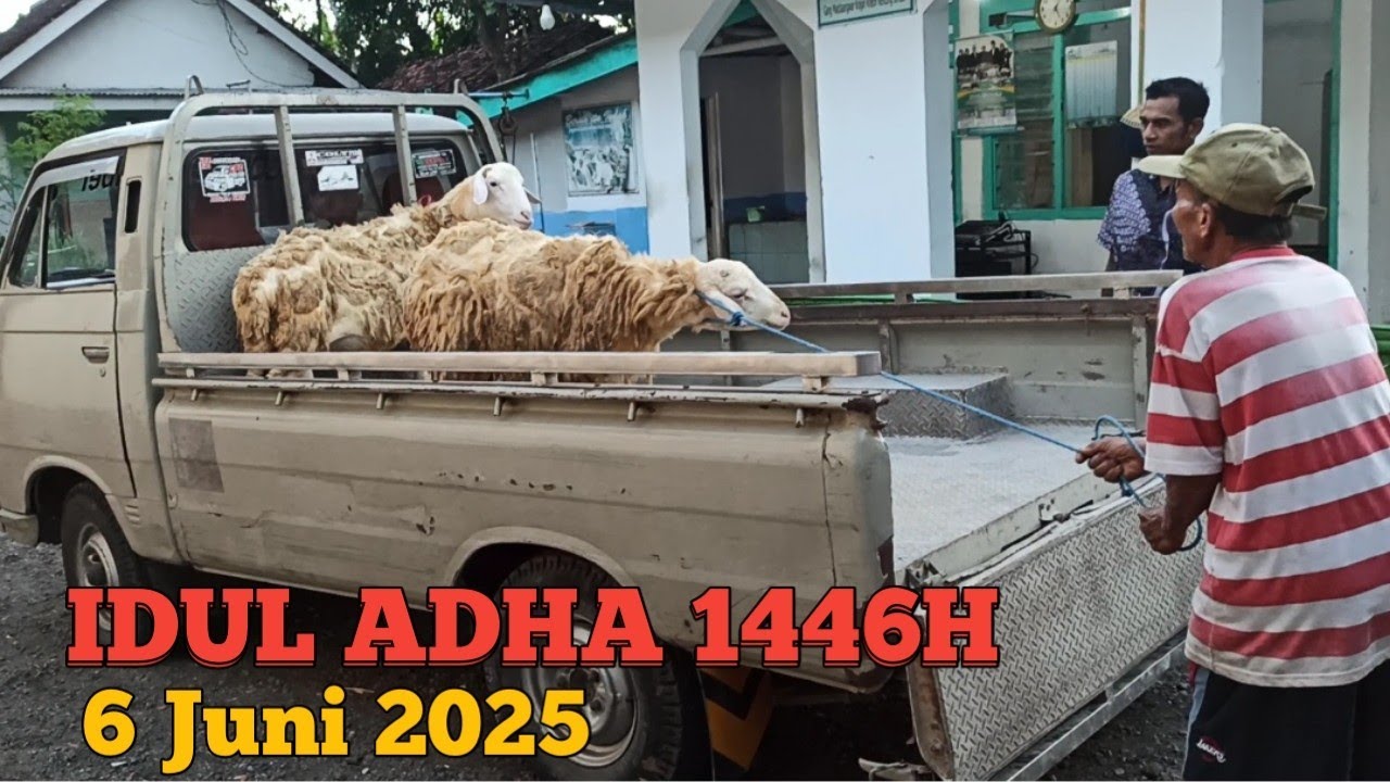 Pengambilan kambing kurban.